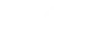 Orlen logo