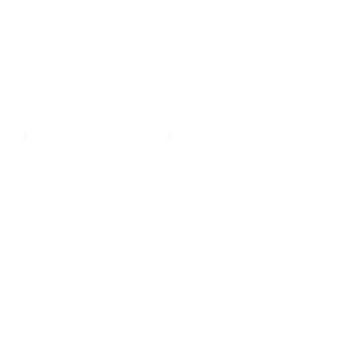 VW logo